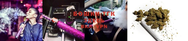 мяу мяу мука Михайловск