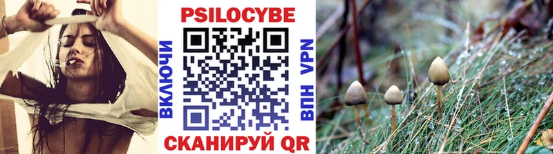 Галлюциногенные грибы мицелий Приволжский